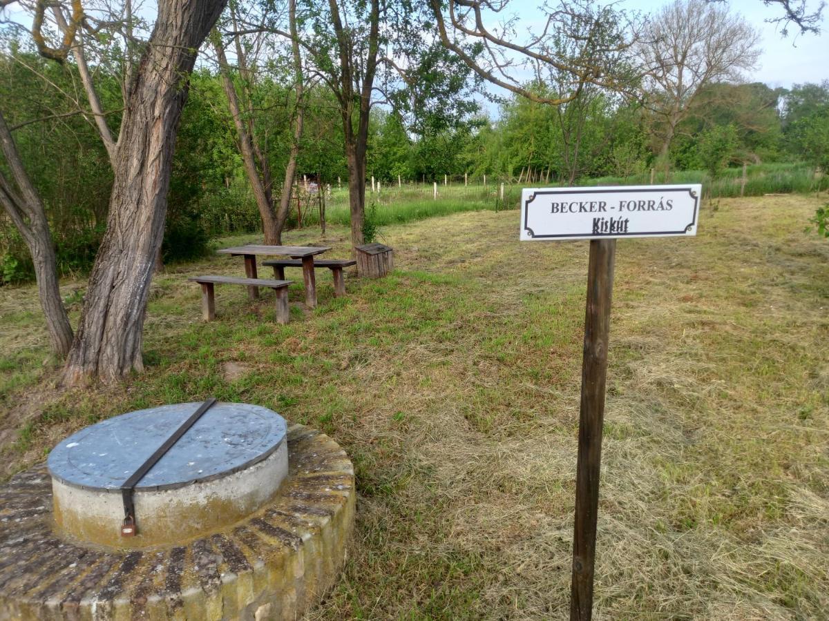 Campsite Komfortcaravan Kalazno